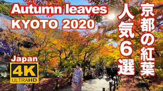 4K 京都の紅葉2020 清水寺 永観堂 東福寺 瑠璃光院 Autumn leaves in Kyoto 比叡山 宝厳院 観光 旅行 秋 ライトアップ 名所 見頃 人気スポット [upl. by Renmus]