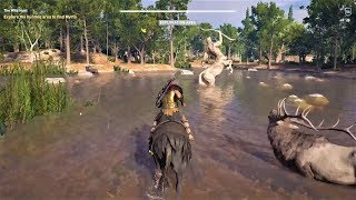 AC Odyssey The Wild Hunt Myrto Location  The Image of Faith [upl. by Ahsam238]