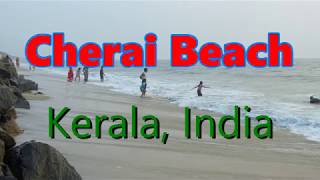 Best Beach at Kerala Cherai Beach [upl. by Ennaylil]