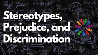 Whats the Difference Between Stereotypes Prejudice and Discrimination  MCAT [upl. by Enrichetta465]