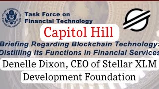 Denelle Dixon CEO of STELLAR XLM Development Foundation spoke at Capitol Hill Utilizing Blockchain [upl. by Cannon]