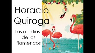 Las medias de los flamencos  Horacio Quiroga  Audiolibro [upl. by Euqenimod]