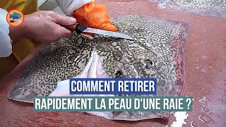 Comment retirer la peau dune raie  par un mareyeur [upl. by Hollander]