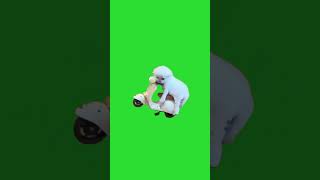 A Kitten On A Scooter 😆 Animated Cat  Green Screen greenscreen short shorts [upl. by Gert]