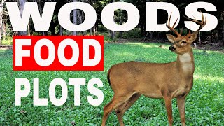 How To Plant A Food Plot In The Woods UPDATED 2021 [upl. by Antin89]