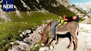 Auszeit in den Bergen  ohne Smartphone  7 Tage auf der Alm  Doku  NDR [upl. by Vidovic723]