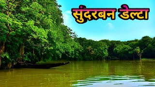 सुंदरबन डेल्टा के बारे में रोचक जानकारी  Sundarban delta ke bare mein jankari  Sundarban jungle [upl. by Epuladaug]