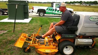 Lawn Renovation Overseeding Verticutting Dethatching Fescue Grass Seed [upl. by Nudd]