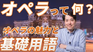 【オペラ解説】オペラって何？オペラの魅力と特徴、オペラに登場する基礎用語をプロが解説！アリア、レチタティーヴォ、ハイCって何？ボエーム、フィガロの結婚その他 [upl. by Oaks485]