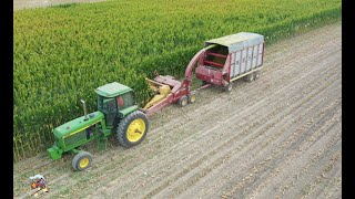 Chopping Corn Silage near Greenville Ohio [upl. by Marlowe]