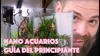 Nano acuarios 🐟 🌿 🦐 🐌 Guía del principiante [upl. by Aihsetan]