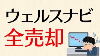 ウェルスナビに3年間積み立て続けた結果w 全売却しました。ロボアドを信用してはいけないし、オススメもできない理由 [upl. by Idden]