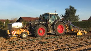 Semis de blé  FENDT 1050 black edition  combiné ALPEGO 6m  ETA La Louvière [upl. by Euqinommod421]