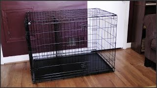 Dog Crate Setup [upl. by Areval]