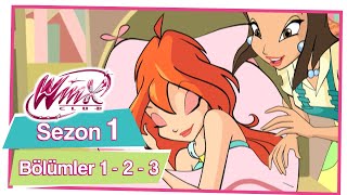 Winx Club  Sezon 1 Bölümler 1  2  3 TÜM BÖLÜMLER [upl. by Ahsenal]