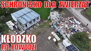 Schronisko dla zwierząt w Kłodzku po powodzi [upl. by Yartnoed]