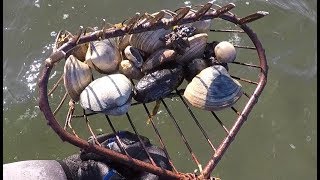 Clamming Catch and Cook EASY Baked Clam Recipe [upl. by Dorisa982]