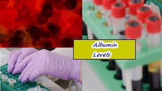 Albumin Levels – High Low Normal Range [upl. by Annoled846]