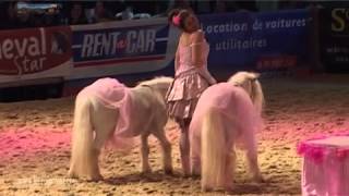 Cheval Passion 2013  le Cabaret équestre  extrait [upl. by Earley]