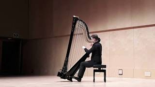 Franz Liszt  Bénédiction de Dieu dans la solitude  Sylvain Blassel harp [upl. by Hollinger]