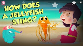 How Does A Jellyfish Sting  Everything About Jellyfish  Dr Binocs Show  Peekaboo Kidz [upl. by Etnomal]