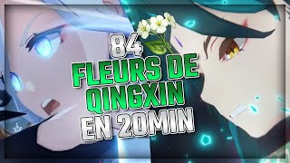 Localisation Fleurs de Qingxin  Optimisation Farm  Matériaux Shenhe Ganyu amp Xiao  Genshin Impact [upl. by Airreis]