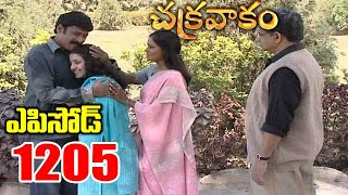 Episode 1205  Chakravakam Telugu Daily Serial  Srikanth Entertainments  Loud Speaker [upl. by Eolhc]