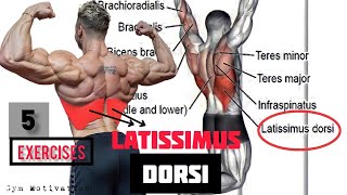 Best 5 Exercises quotLATISSIMUS DORSIquot Workout  SHREDDED BODY [upl. by Irrac]