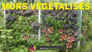 LES MURS VÉGÉTAUX OU L’ART DU JARDIN VERTICAL UNE RÉVOLUTION DANS LA DÉCORATION AVEC LES PLANTES [upl. by Alaet]