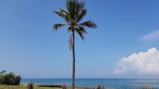 Negombo Sri Lanka  Jetwing Thalahena Villas  Beach View [upl. by Anoyek]