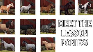 MEET THE LESSON PONIES  introducing the golden leaf lesson ponies and horses  SSO RRP [upl. by Delcine]