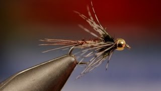 Bead Head Soft Hackle Pheasant Tail [upl. by Anaerdna]