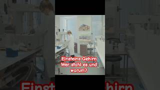 quotEinsteins Gehirn Wer stahl es und warumquot [upl. by Ameehs]