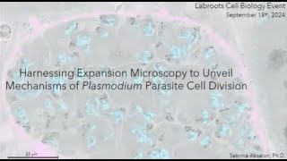 Exploring Plasmodium Parasite Cell Division Processes through Expansion Microscopy Visualization [upl. by Adnauq678]