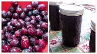 How to make Plum Jam  Canning Done Easy [upl. by Harad]