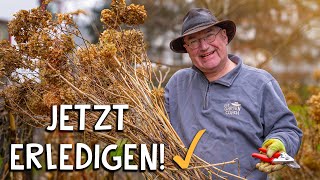 Gartenarbeiten im Februar 🌱  Das solltest du DIESEN MONAT erledigen [upl. by Fitzsimmons]