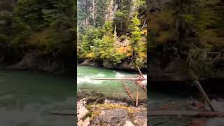 Johnston Canyon Banff National Park Alberta Canada shorts travel nature [upl. by Ecirtra]