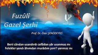 Fuzûlîden Gazel Şerhi  Beni Cândan Usandırdı Prof Dr Özer Şenödeyici [upl. by Sevein]