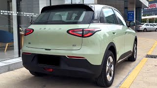 2025 Geely Geome Xingyuan indepth Walkaround [upl. by Eizzil290]