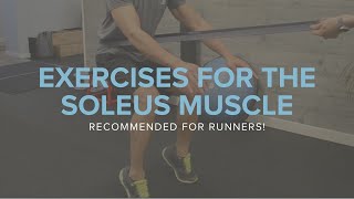 Exercises for the Soleus Muscle Recommended for Runners [upl. by Migeon]