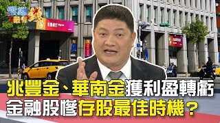 兆豐金、華南金獲利盈轉虧 金融股慘 存股最佳時機？｜雲端最有錢EP98精華 [upl. by Liew]