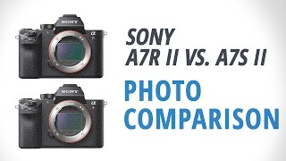 Sony a7R II vs a7S II Part 1 Photography Comparison [upl. by Eellehs]