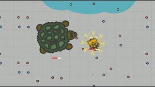 Fightzio Level 15 Vs Tortoise [upl. by Paulie545]