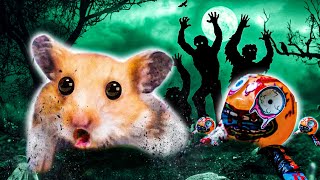 🐹👻 Zombie Hamster Obstacle Course Maze with Traps [upl. by Suisyola682]