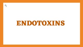 ENDOTOXINS  Bacterial Toxins  What are lipopolysaccharides or LPS [upl. by Kathrine]