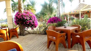 Brayka Bay Resort Marsa Alam im Januar 2019 [upl. by Ydnil]