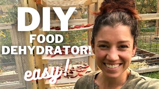 Our DIY Solar FOOD DEHYDRATOR  Homemade Dehydrator [upl. by Anizor]