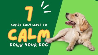 7 easy ways to calm down your overexcited dog or puppy Dog training made easy [upl. by Submuloc11]