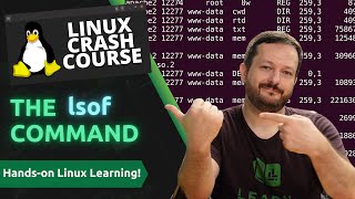 Linux Crash Course  The lsof Command [upl. by Elleoj16]