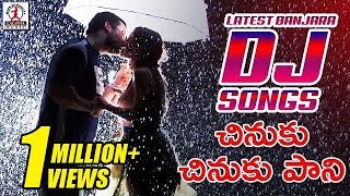 Latest Banjara DJ Songs  Chinuku Chinuku Pani DJ Song  Lalitha Audios And Videos [upl. by Fabria]